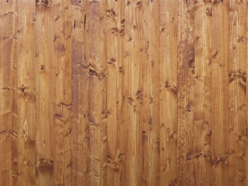 כיצד לטפל נכון בעץ חדש?