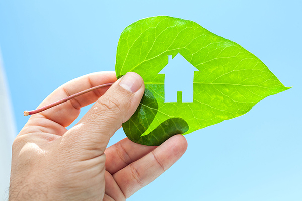 בניה ירוקה באמצעות עץ